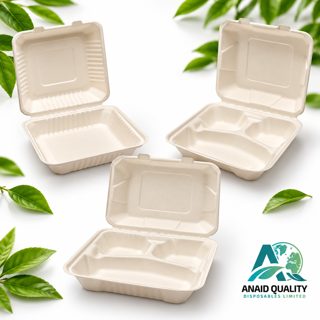 Bagasse HP4 Meal Box