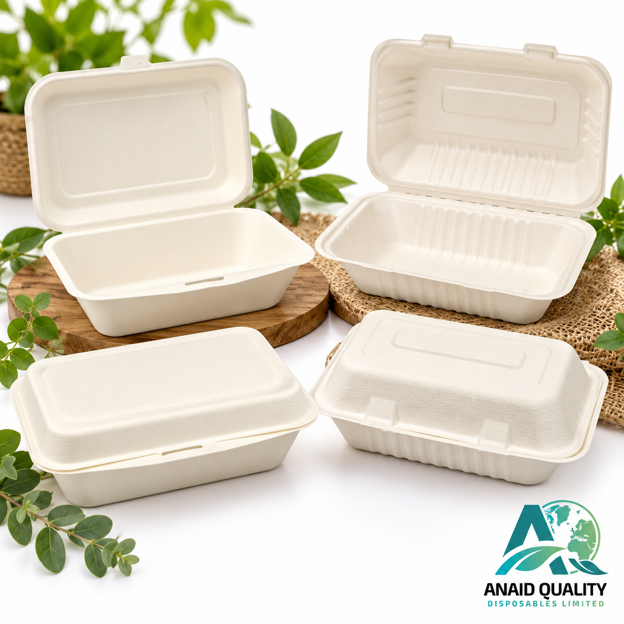 Bagasse Lunch Box HB9
